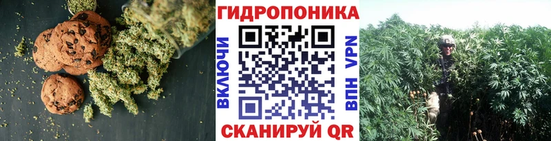 hydra ONION  Слободской  Canna-Cookies конопля  купить  сайты 