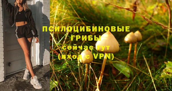 бутират Саяногорск