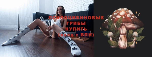 тгк Сатка