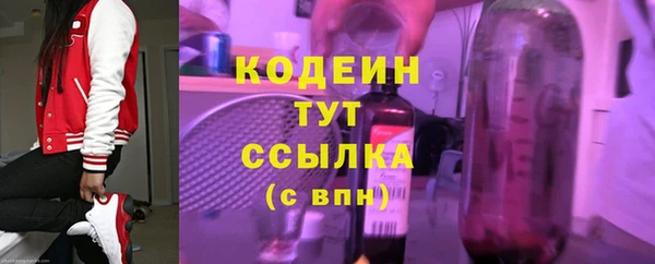 тгк Сатка