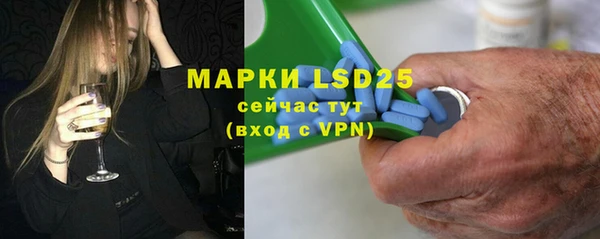 тгк Сатка