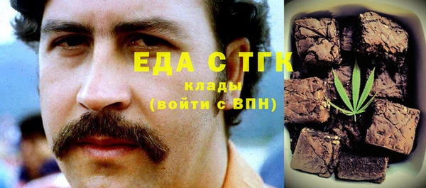 тгк Сатка
