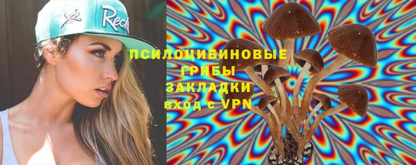 твердый Сафоново