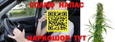 молекула духа Пугачёв