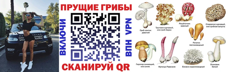 Галлюциногенные грибы MAGIC MUSHROOMS  купить   Слободской 